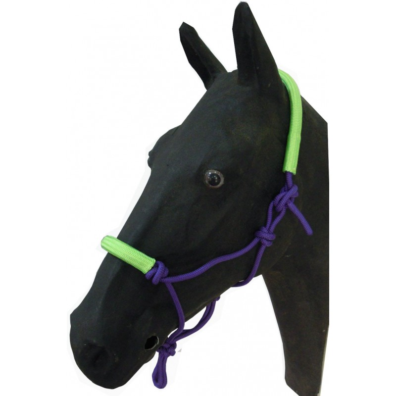 PP Rope Halter with noseband