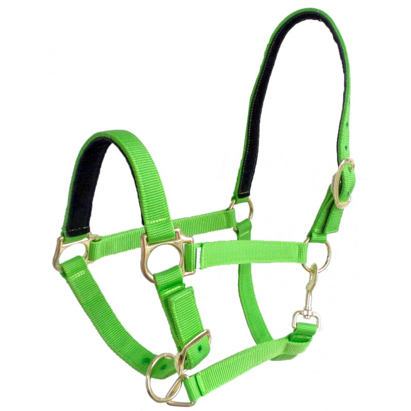 nylon halter-double color