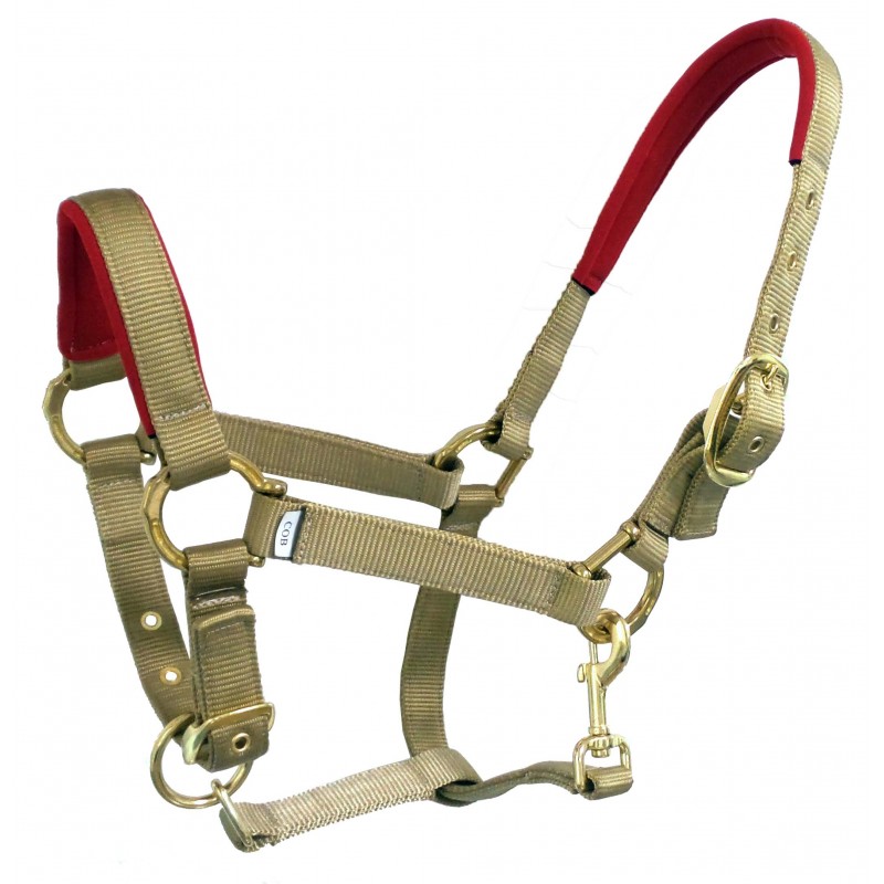 nylon halter-neoprene padding