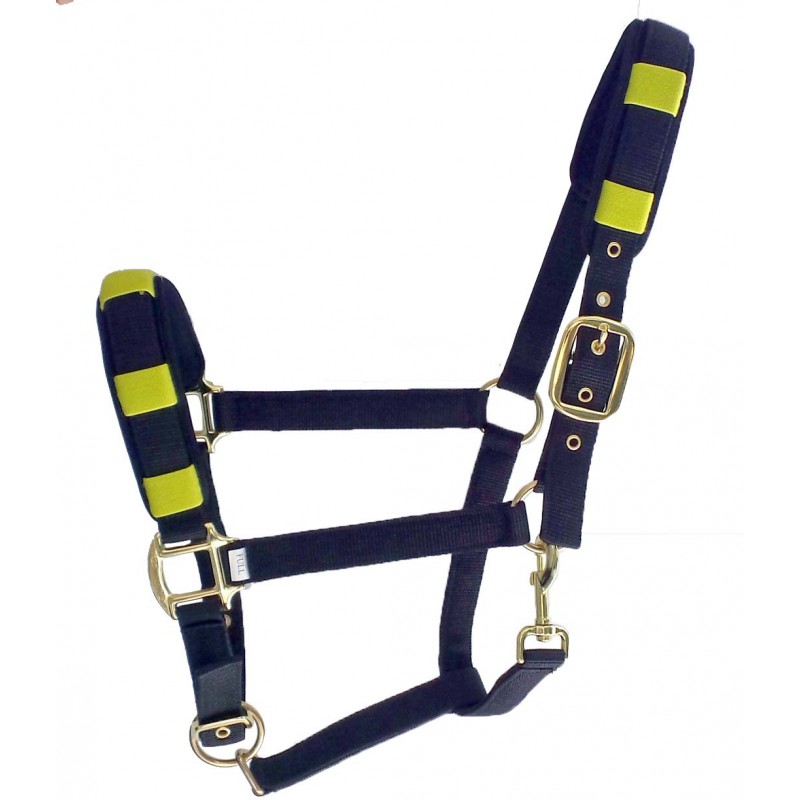 Nylon halter-Removable padding