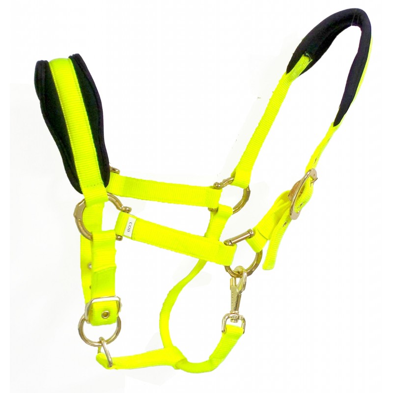 nylon halter-removable buckle