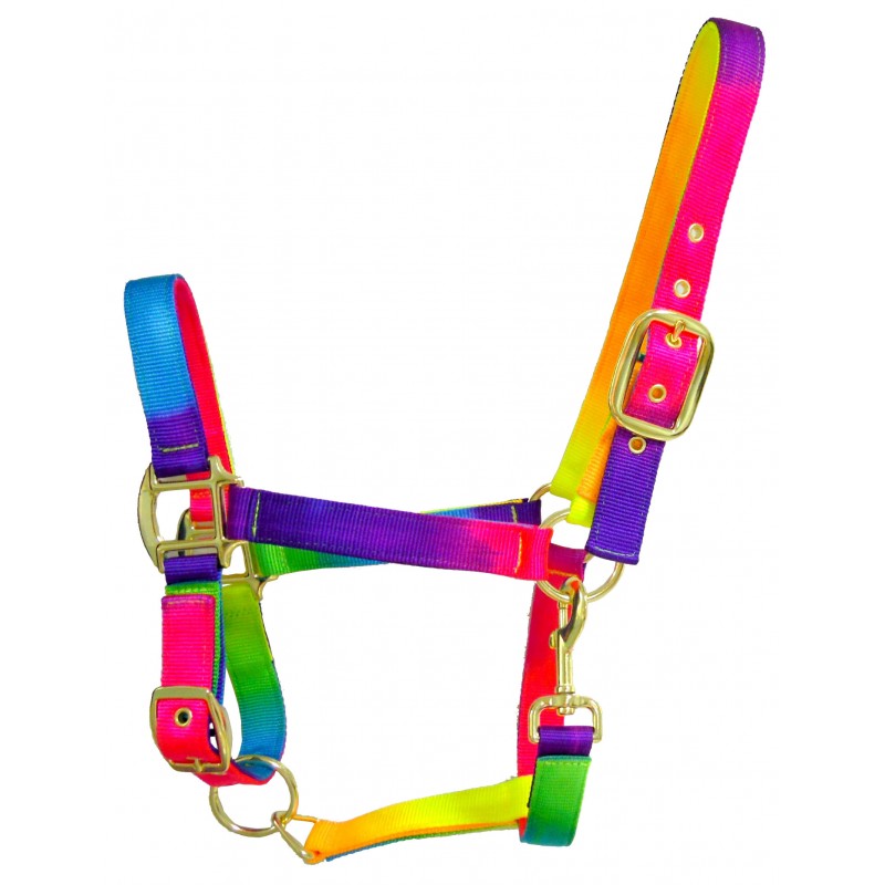 nylon halter-Rainbow style