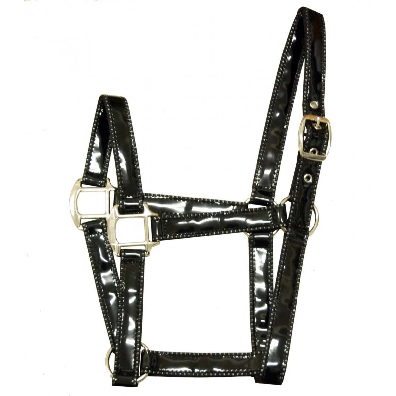 Plastic webbing halter