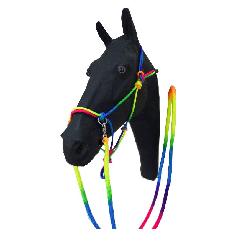 Southwestern Equine Rainbow Halter and Lead Horse Size Adjustable